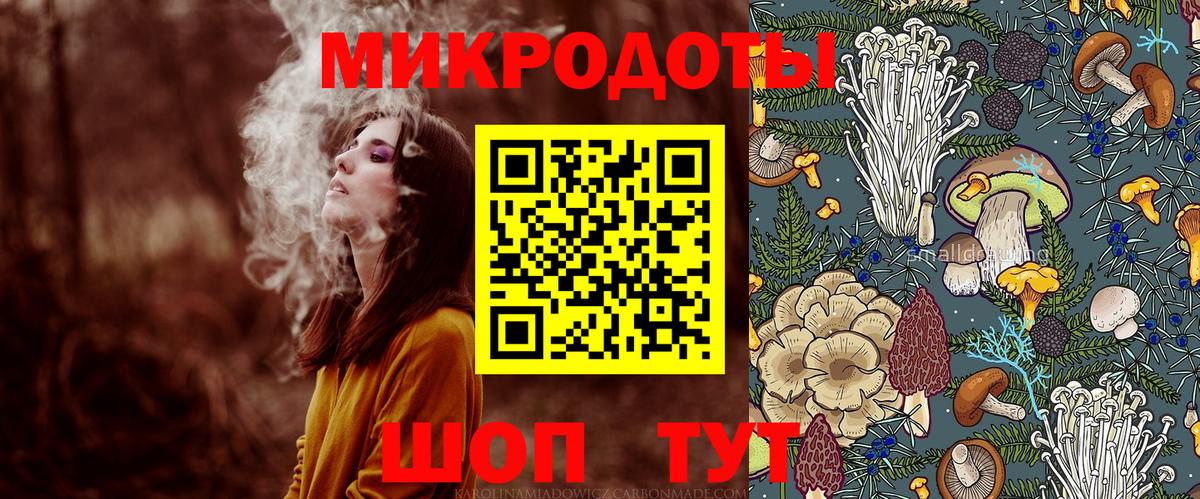 Псилоцибиновые грибы прущие грибы Тихвин