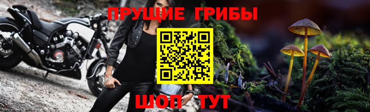 Тихвин  Псилоцибиновые грибы Psilocybine cubensis  Вход с VPN  Псилоцибиновые грибы ЛСД 